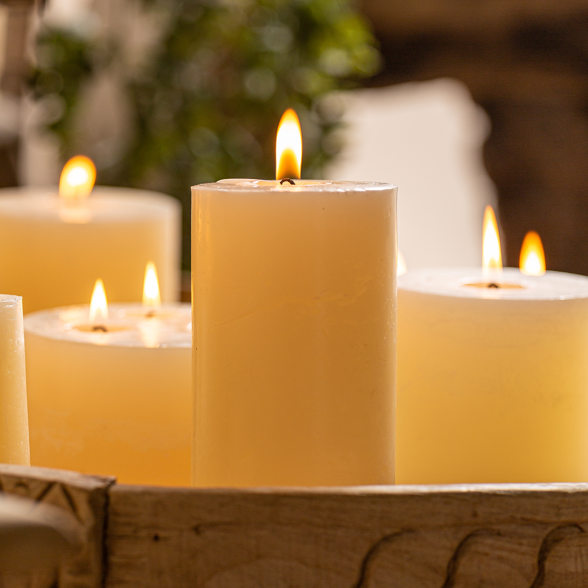 VELA GRASLE - Imagen 3