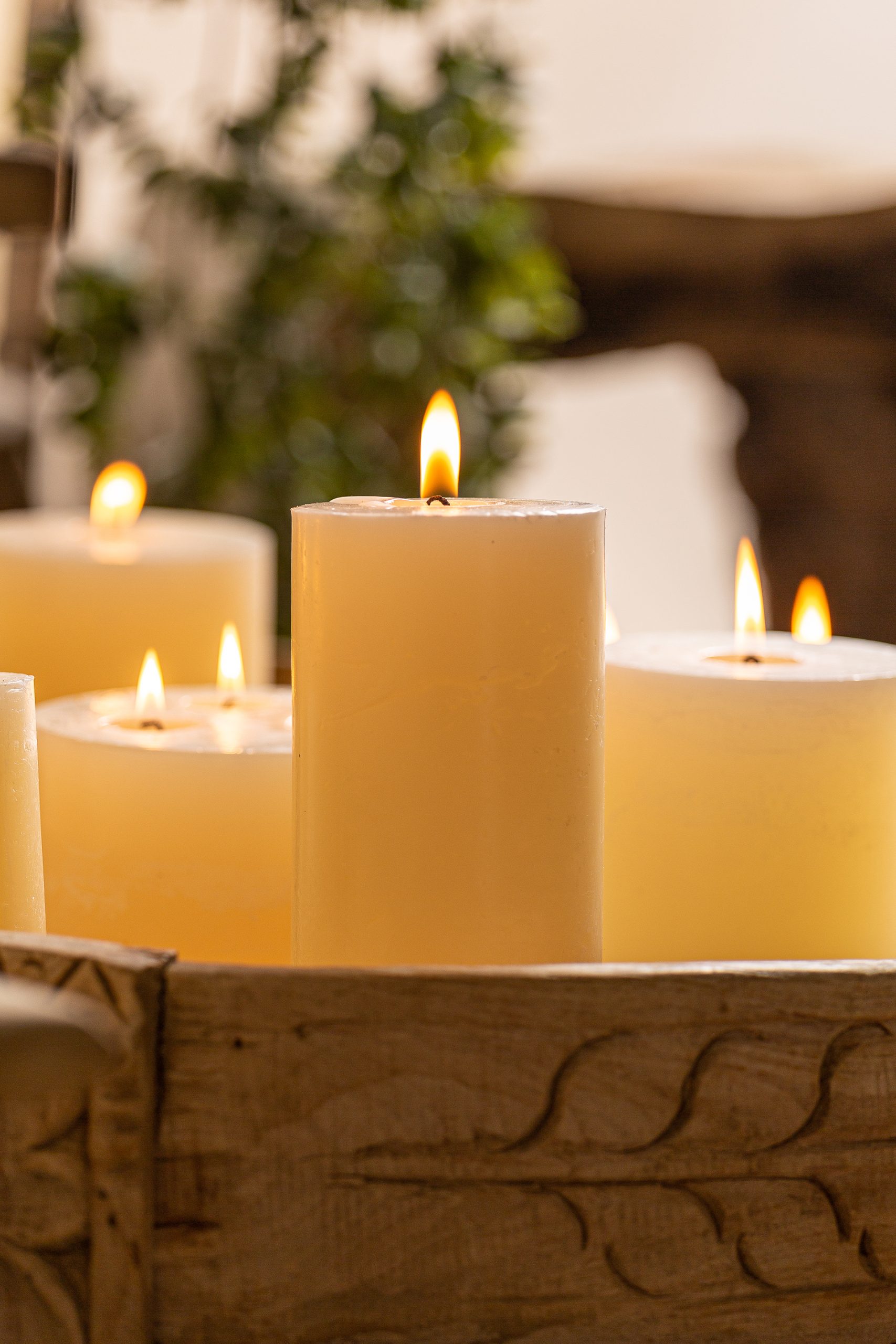 VELA GRASLE - Imagen 4