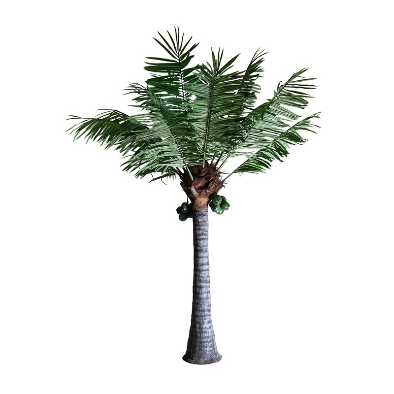 PLANTA PALMERA
