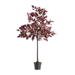 PLANTA HAYA